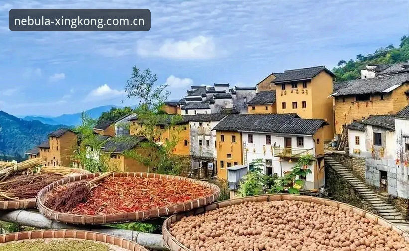 星空体育APP好用吗功能详解 星空体育平台全面评测:APP功能深度解析与使用体验报告
